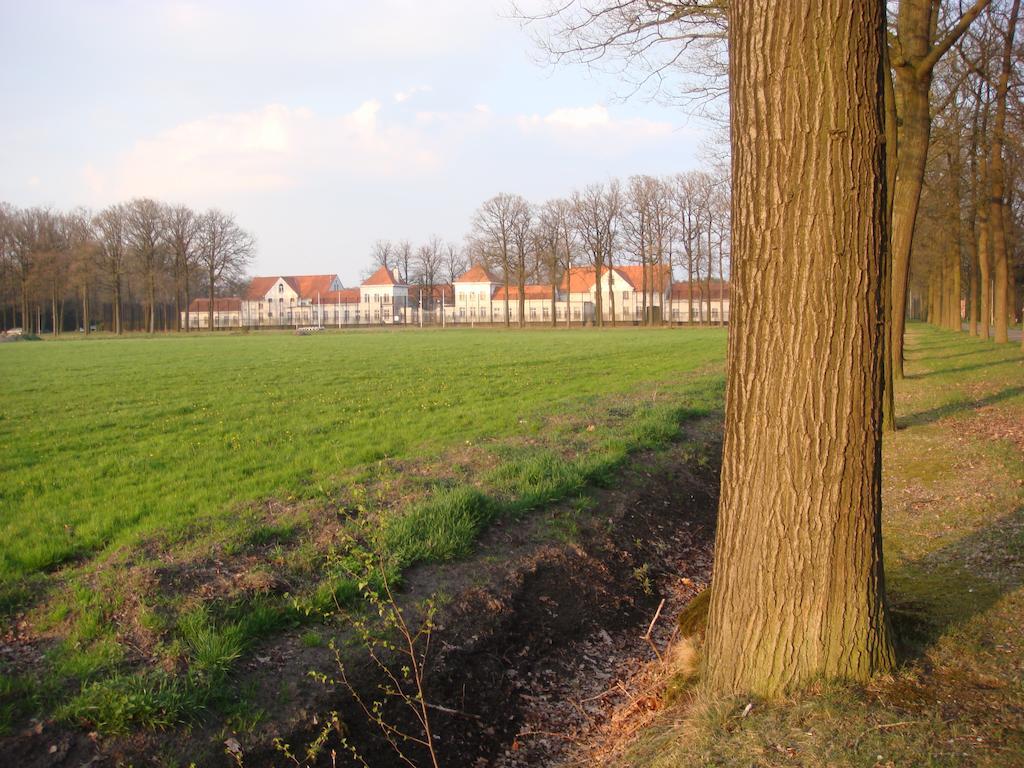B&B De Grote Plaats Hoogstraten Exterior foto