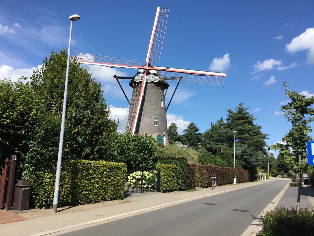 B&B De Grote Plaats Hoogstraten Exterior foto
